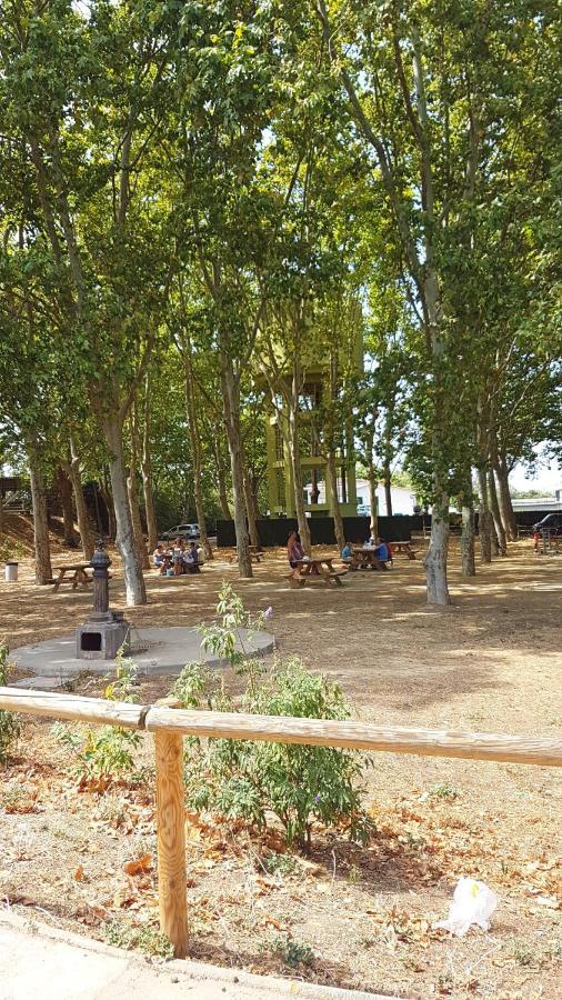 Maison De Vacances A Empuriabrava "Oasis"ヴィラ エクステリア 写真