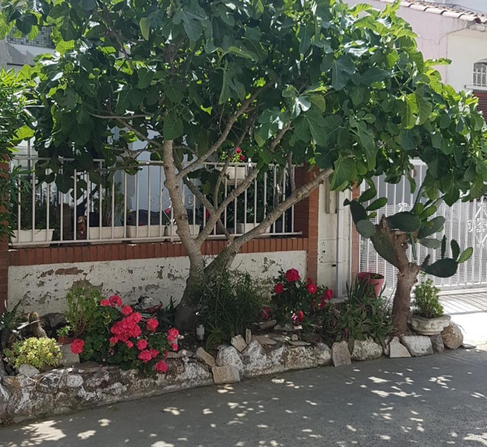 Maison De Vacances A Empuriabrava "Oasis"ヴィラ エクステリア 写真
